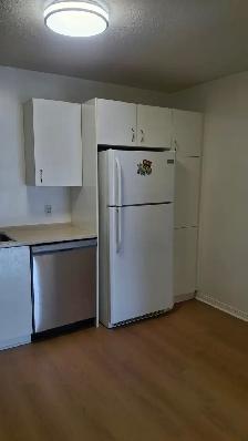 Quiet,spacious 2bedroom apt in plateau with appliances Sept 1st - Photo 4