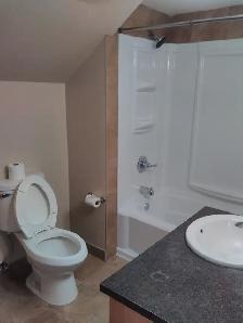 1 big bedroom, living room, washer and dryer $1300 not included - Photo 5