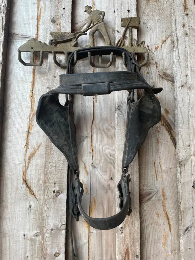 ISO - Looking for Draft Driving Bridles