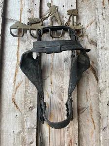 ISO - Looking for Draft Driving Bridles