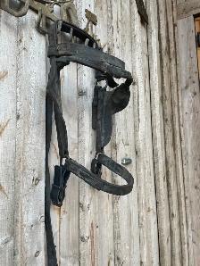 ISO - Looking for Draft Driving Bridles - Photo 2