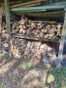 Firewood
