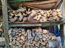 Firewood - Photo 3