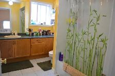 Great house, Great location - Photo 9