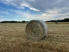 Grass hay for sale