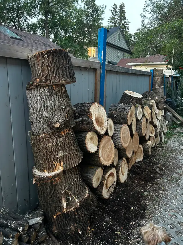 FRESH CUT FIREWOOD