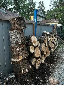 FRESH CUT FIREWOOD
