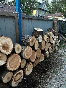 FRESH CUT FIREWOOD - Photo 2