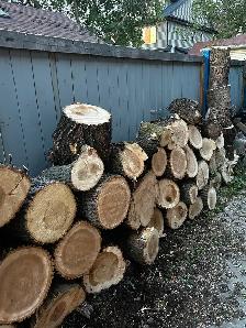 FRESH CUT FIREWOOD - Photo 3