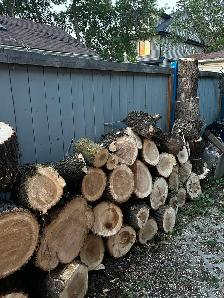 FRESH CUT FIREWOOD - Photo 4