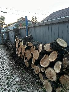 FRESH CUT FIREWOOD - Photo 6
