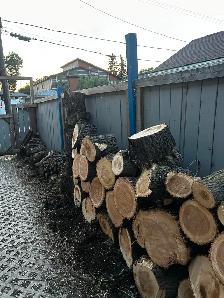 FRESH CUT FIREWOOD - Photo 7