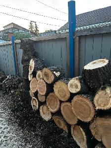 FRESH CUT FIREWOOD - Photo 8