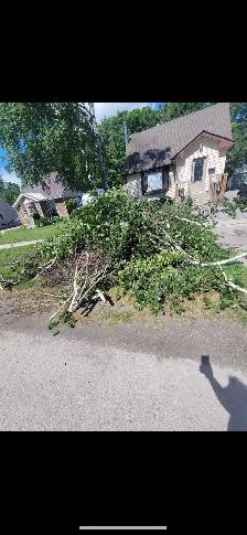 From $99 Garbage/Junk Removal Services!!!Same Day Pickup!!! - Photo 4