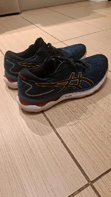 Soulier de course Asics Nimbus 24  60$