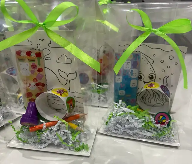 Loot Bags Party Favors
