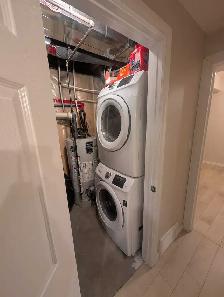 2 Bedroom Basement Suite with Tall Ceilings and Walk-In Closet - Photo 9