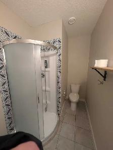 2 Bedroom Basement Suite with Tall Ceilings and Walk-In Closet - Photo 10