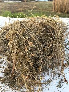 2026 first cut haylage - Photo 2