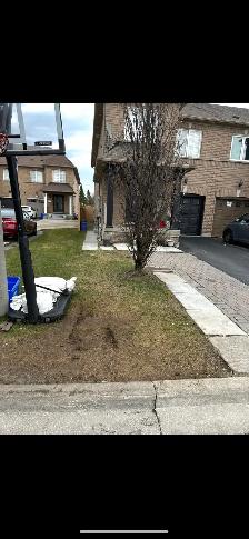 Budget Friendly Junk Removal Services!!!Same Day Pickup! - Photo 2