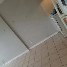 Content removal/Cleaning services/Jumk removal services - Photo 7
