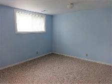 Merivale-Viewmount one room in basement for rent - Photo 2
