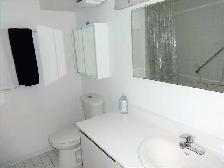 Merivale-Viewmount one room in basement for rent - Photo 3