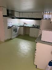Merivale-Viewmount one room in basement for rent - Photo 9