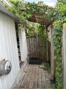Small 1 BDRM Bachelor Apmt Near Sutton, ON - Photo 10