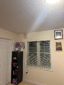 One furnished room for rent for female in Woodstock - Photo 2