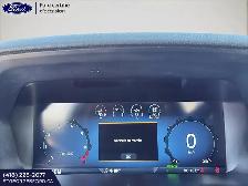 FORD F150 XLT 301 A CREW 6 1/2 4X4 V6 3.5L POWERBOOST HYBRID TOU - Photo 13