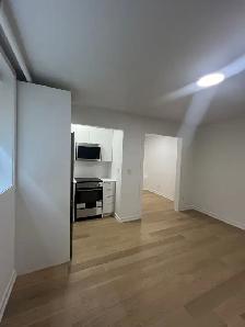 Renovated bachelor, St. Clair and Yonge - ID 1745 - Photo 4