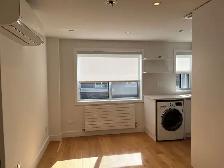 Renovated studio, Yonge and St. Clair - ID 2833