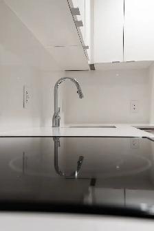renovated one bedroom, Jarvis and Wellesley - ID 4686 - Photo 5