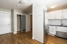 renovated bachelor - ID 63 - Photo 3
