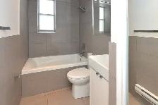 renovated one bedroom, Church and Wellesley - ID 1030 - Photo 7