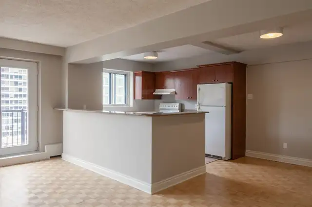 spacious two-bedroom apartment near McGill - ID 1654