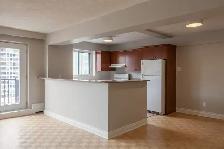 spacious two-bedroom apartment near McGill - ID 1654