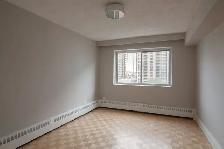spacious two-bedroom apartment near McGill - ID 1654 - Photo 6
