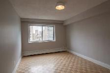 spacious two-bedroom apartment near McGill - ID 1654 - Photo 8