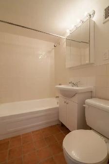 spacious two-bedroom apartment near McGill - ID 1654 - Photo 9