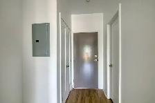 1 bed apartment corner Darlington-Barclay near UdeM - ID 4124 - Photo 5
