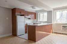 modern 1-bedroom apartment for rent, near Peel metro - ID 1362