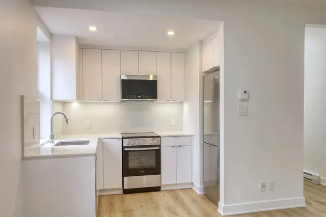 renovated one bedroom apartment near McGill - ID 3610