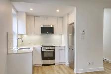renovated one bedroom apartment near McGill - ID 3610
