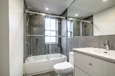 renovated one bedroom apartment near McGill - ID 3610 - Photo 4