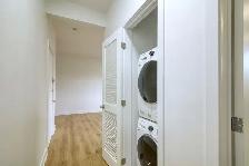 renovated one bedroom apartment near McGill - ID 3610 - Photo 6
