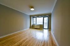 fully renovated two-bedroom apartment near McGill - ID 4018 - Photo 6