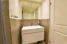 fully renovated two-bedroom apartment near McGill - ID 4018 - Photo 13
