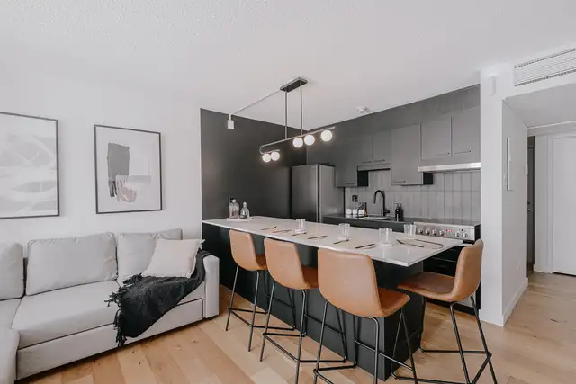 Loft entièrement meublé à louer Saint-Jean-Baptiste juillet 2026